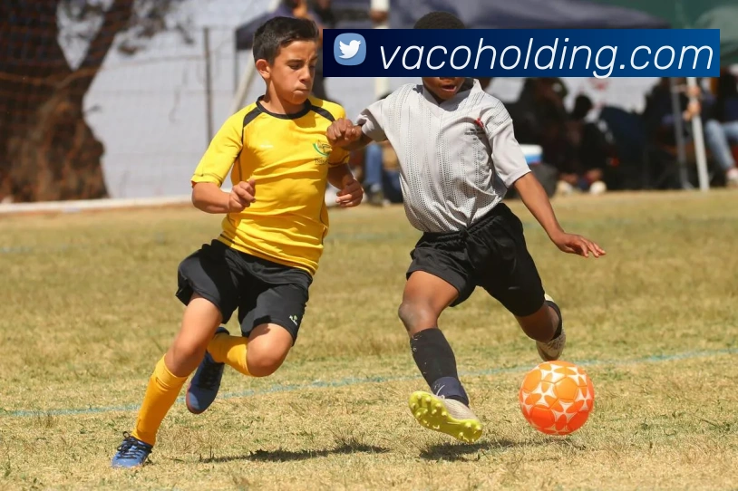 奖项证书